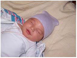 pierce evan